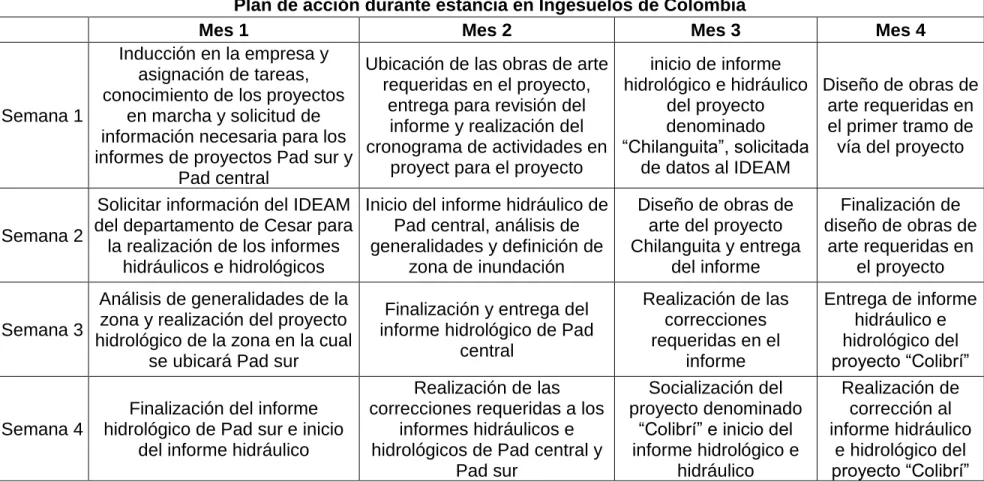 Tabla 1 Plan de acción durante estancia en Ingesuelos 