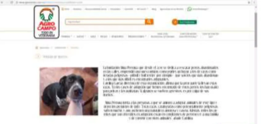 Tabla 5. Campaña Agrocampo 