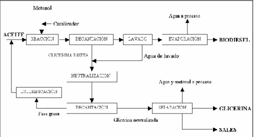 Figura 1.3.Diagrama del proceso de transesterificación 