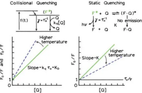 Figura 8. Comparación de atenuación por colisión, estática y efectos de la temperatura 