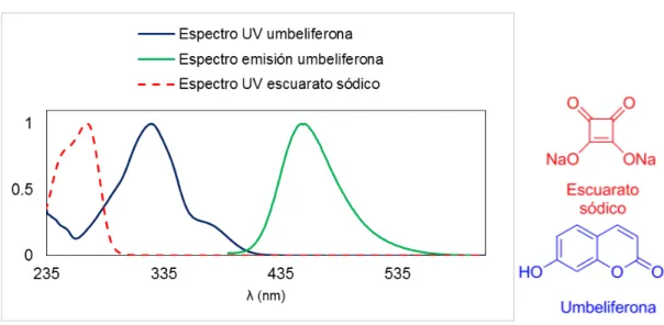 Figura 14. Espectros normalizados de absorción del escuarato sódico y la umbeliferona y espectro de  emisión de la umbeliferona ( λ exc
