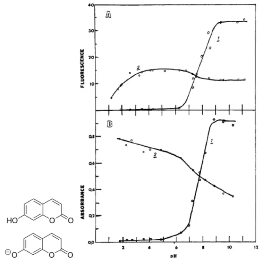 Figura 6. (Izq.) Umbeliferona y su correspondiente anión. (Der.) Intensidad de fluorescencia y  absorbancia a diferente pH