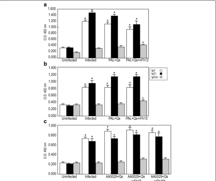 Fig. 4 Serum-specific IgG, IgG1 and IgG2a antibody levels by ELISA 8 weeks post-challenge against soluble adult worm antigens from S