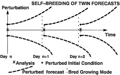 Figure 3.4. Schematic of a self-contained breeding pair of ensemble forecasts. (From Toth and Kalnay 1997.)