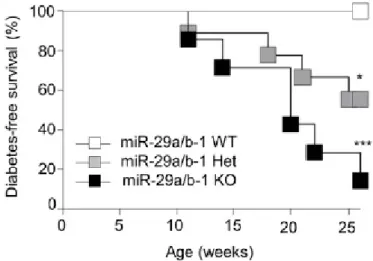 Figura  3.  El  miR-29a  ayuda  a  compensar  el  defecto  en  la  producción  de  insulina
