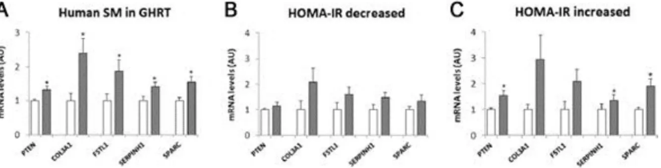Figura 7. Niveles de los mRNA diana de miR-29a (PTEN, COL3A1, FSTL1, SERPINH1 y SPARC) en el músculo esquelético antes  (barras blancas) y después (barras grises) de 4 meses de tratamiento por reemplazamiento de la hormona del crecimiento  en (A) todos los