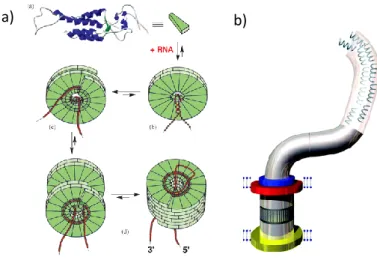 Figure  12.  a)  Representation  of  the  self-assembly  process  of  tobacco  mosaic virus