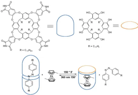 Figure 40. Schematic representation of the switching process in the formation of the  homo and heterodimeric capsules