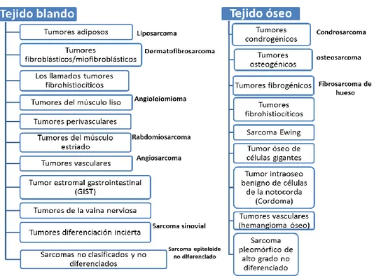 Figura 1. Clasificación de los sarcomas según la organización mundial de la salud 2013 [5].
