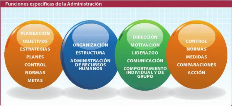 Figura 4. Proceso Administrativo 