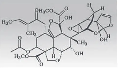 Figura 1.2. Azadiractina A  (Satdive, Fulzele, y Eapen, 2006, p. 196) 