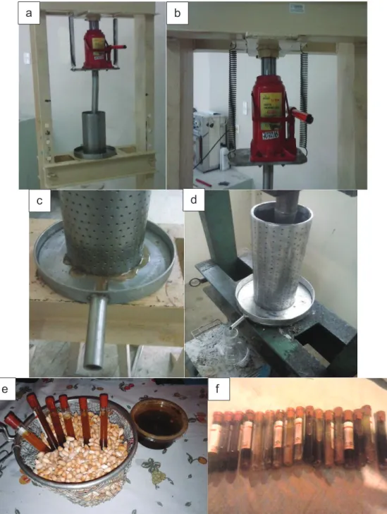 Figura 3.2. Extracción del aceite de Neem. a) Prensa hidráulica con estructura de hierro;   
