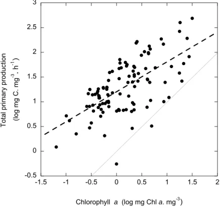 Fig. 4. The relationship between the chlorophyll a concentration and the total primary production