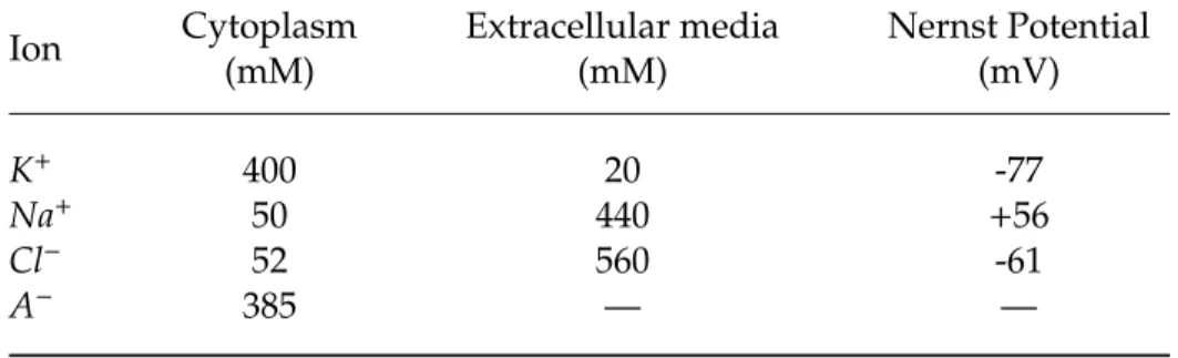 Table 1.1: Typical concentrations of the principal ions in the intra- intra-cellular and extraintra-cellular media at a temperature of T = 25 ◦ C.