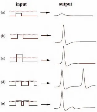 Figure 1.13: Response of an excitable system to different stimuli.