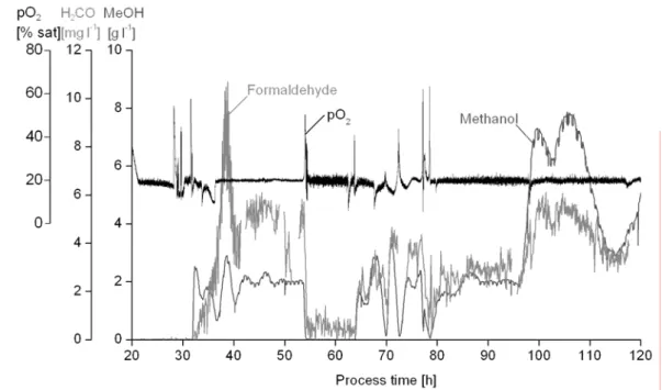 Figure 32: Concentration courses of formaldehyde, methanol, and oxygen saturation  between process time 140 h to 250 h of the observed cultivation process