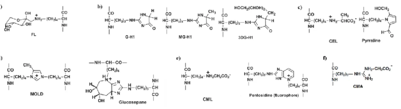 Figure  5.  Molecular  structures  of  protein  glycation  adduct  residues.  a)  Early  glycation  adducts  formed  by  glycation  with  glucose