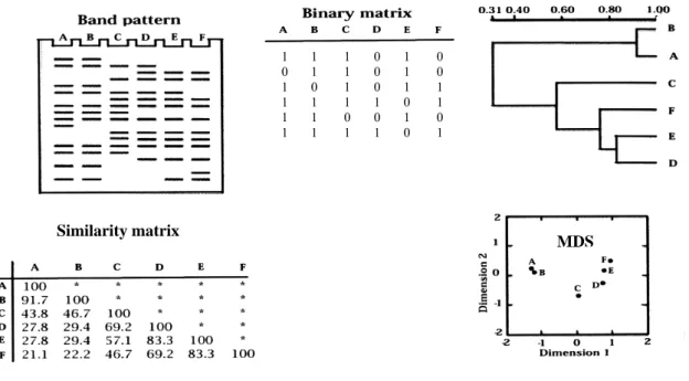 Fig. 7. OTUs  pattern  analyses.  A,  B,  C,  D,  E  and  F  represent different samples