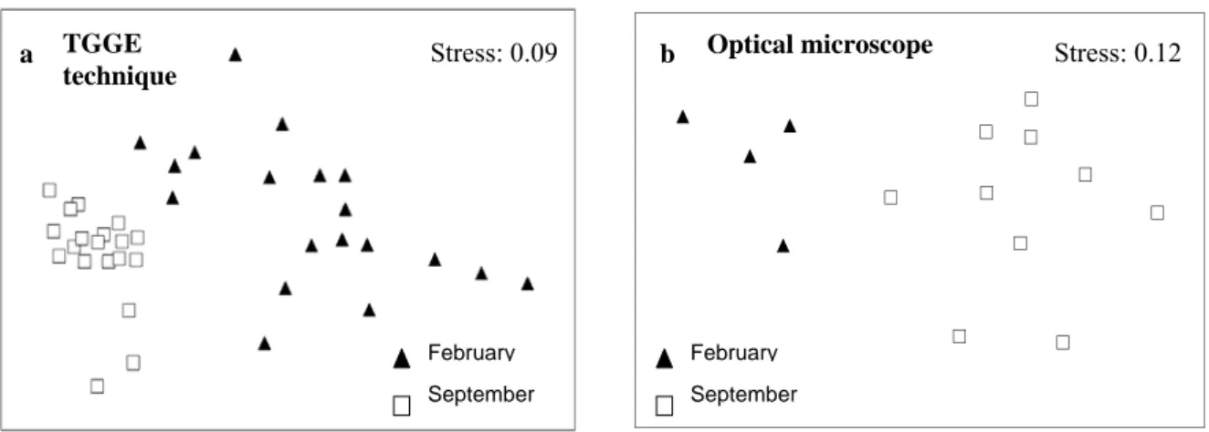 Fig. 16. MDS ordination of the leaf-epiphytic community of Posidonia oceanica shoots in February  and September using (a) TGGE and (b) optical microscope 