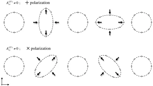 Figure 1.1: Cartoon of the effects that the two independent polarizations of a GW traveling in the direction perpendicular to the paper sheet produce over an annular distribution of mass