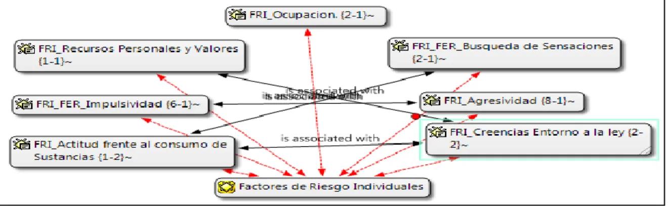 Figura 1. Factores de Riesgo Individuales. 