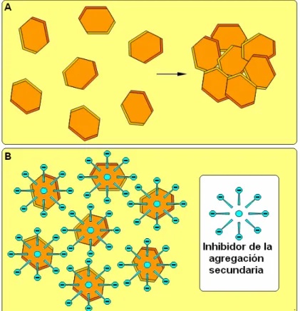 Figura 1.8. Ilustración de la agregación secundaria:  A. Esquema de  agregación secundaria