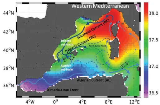 Figure 1.5  Western Mediterranean with the study area identify by black dashed  circles