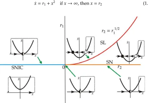 Figure 1.27: Bifurcation diagram for saddle-node separatrix loop bifurca- bifurca-tion.