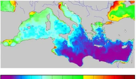 Figure  1.5.  Monthly  map  (May  1999)  of  the  chlorophyll  concentrations.  From  Bosc  et  al