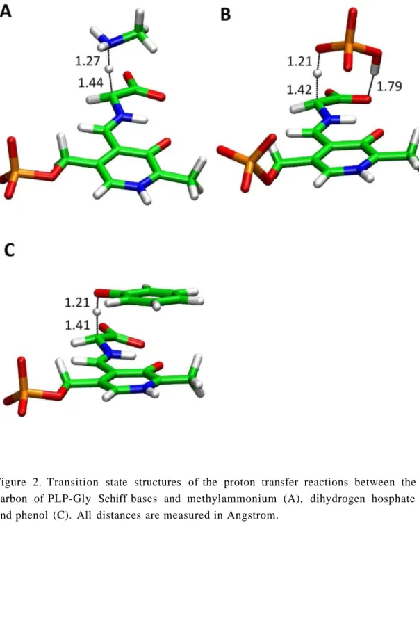 Figure 2. Transition state structures of the proton transfer reactions between the Ca  carbon of PLP-Gly Schiff bases and methylammonium (A), dihydrogen hosphate (B)  and phenol (C)