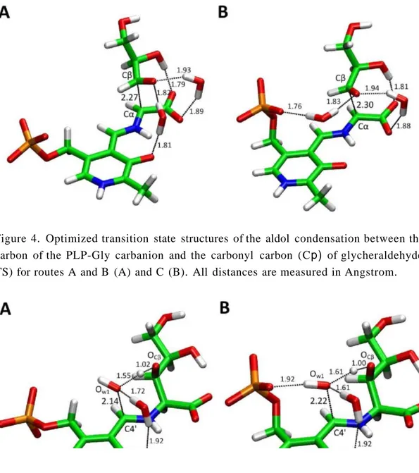 Figure 4. Optimized transition state structures of the aldol condensation between the Ca  carbon of the PLP-Gly carbanion and the carbonyl carbon (Cp) of glycheraldehyde  (3-TS) for routes A and B (A) and C (B)