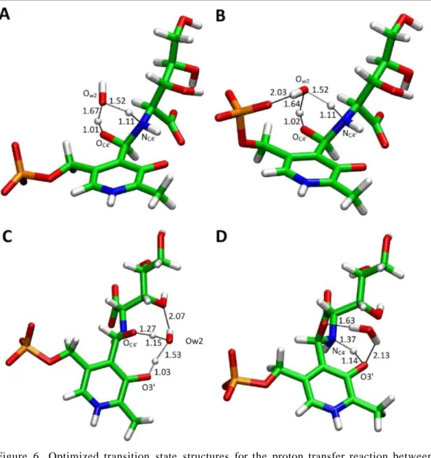 Figure 6. Optimized transition state structures for the proton transfer reaction between  the geminal hydroxyl and amino groups of C4'
