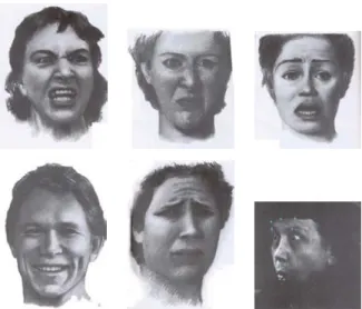 Figure 7.6: Faigin’s universal facial expressions. Up: Anger, Disgust, Fear. Down: Joy, Sadness, Surprise