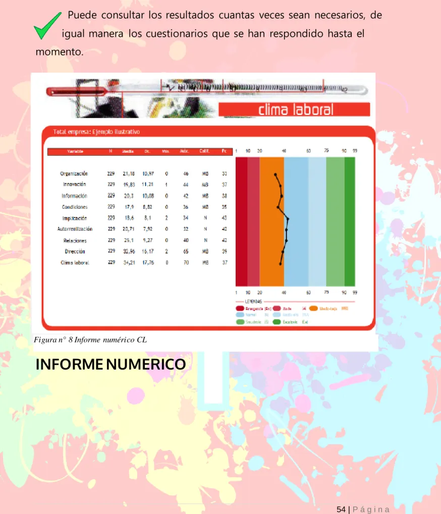 Figura n° 8 Informe numérico CL 