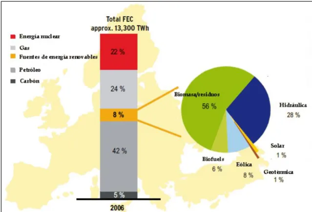 Figura 2 Estructura del consumo de energía final en la UE en 2006       