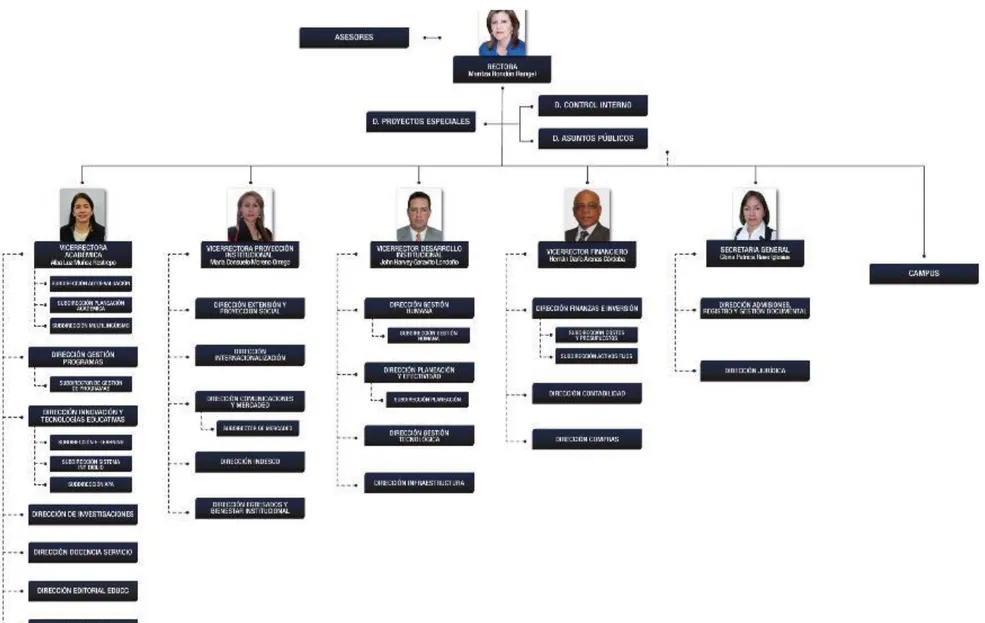 Figura 1. Estructura Organizacional. 