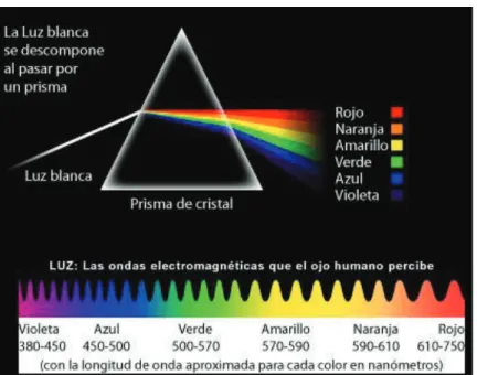 Figura 1.2 Rango de longitudes de onda de la luz visible 