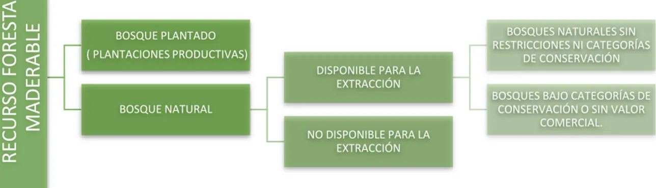 Figura 1 Caracterización del Recurso Forestal Maderable 