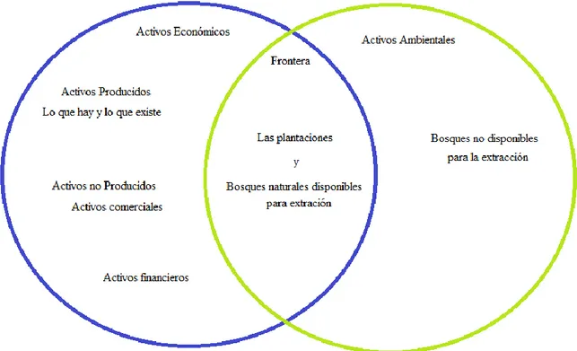 Figura 2 Relación de Activos Económico y Activos Ambientales 