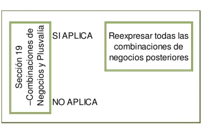 Ilustración 1: Combinaciones de negocios 