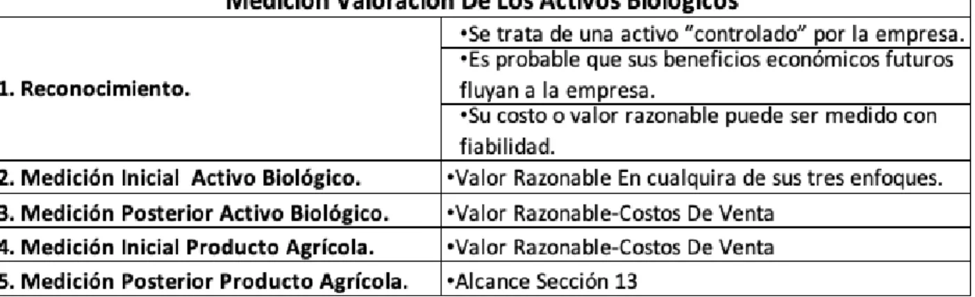 Ilustración 8 Elaboración propia de acuerdo con las NIIF para Pymes 