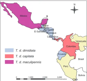 Figura 1. Distribución de Triatoma dimidiata en América Latina. 