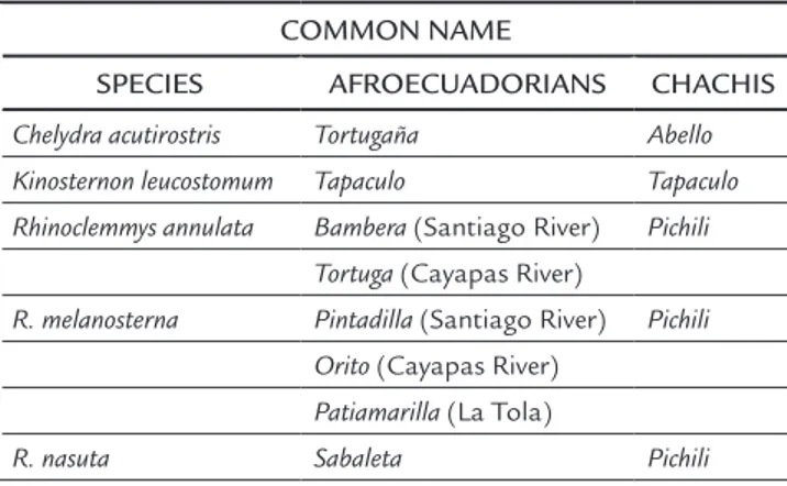 Table 1.  Scientific names and the corresponding common names for the five turtle species found in northwestern Ecuador.