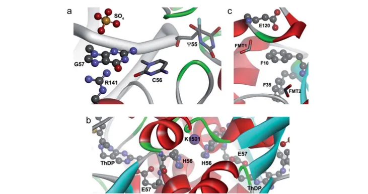 Fig. 5 Ternary anion –p–cation and anion–p–p interactions in biological systems. (a) Pseudouridine synthase TruB complexed to RNA (PDB code 1K8W), where SO 4 –p–Arg interactions are shown
