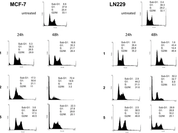 Fig 5. Effect of ligands on cell cycle distribution. MCF-7 cells (left) and LN229 cells (right) were left untreated (top) or treated with the indicated ligands (10 μmol/L) for 24 and 48 h