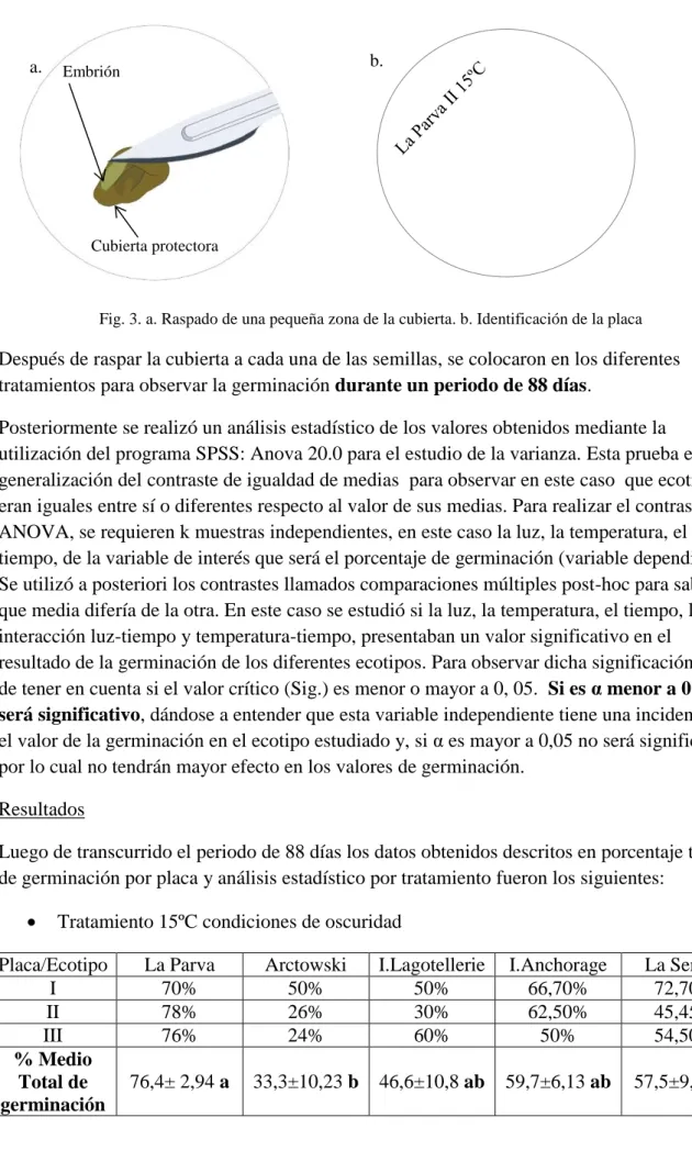 Fig. 3. a. Raspado de una pequeña zona de la cubierta. b. Identificación de la placa 
