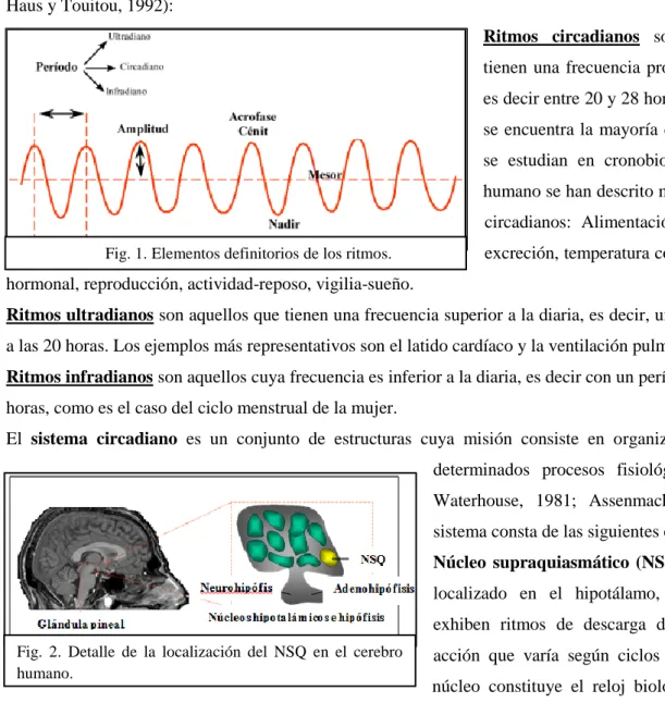 Fig. 1. Elementos definitorios de los ritmos. 
