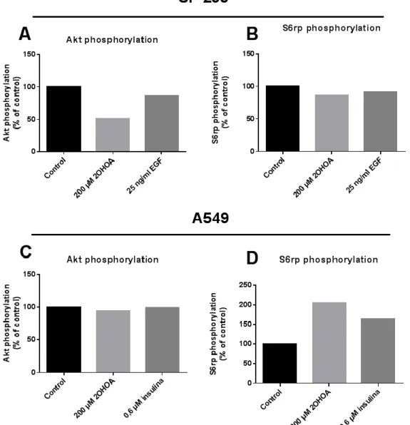 Figura 6. Efecte del tractament amb 2OHOA sobre les proteïnes Akt i S6rp. Determinació a partir de ELISA  Kits