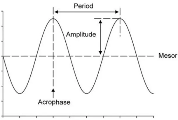 Figura  4.  Representación  de  los  parámetros  rítmicos principales.   