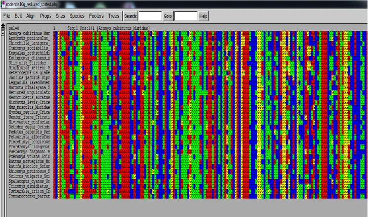 Figura 5. Fragmento del alineamiento de las secuencias nucleotídicas mitocondriales analizadas, correspondientes al  grupo de los roedores, por medio del programa SeaViewer versión 1.4.2 